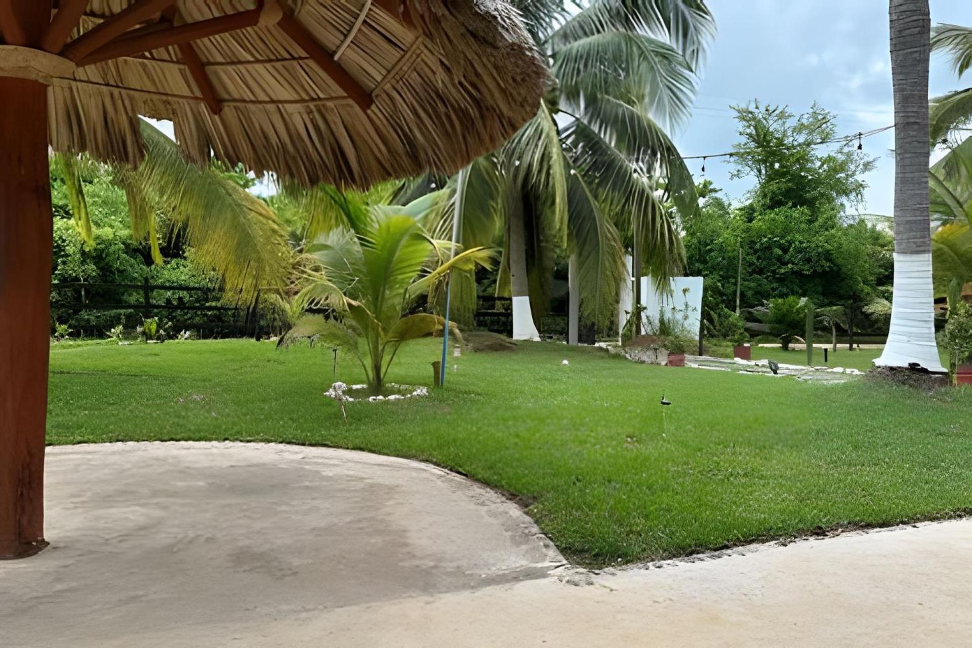 Casa Las Palmas Playa La Saladita Zihuatanejo Exterior photo