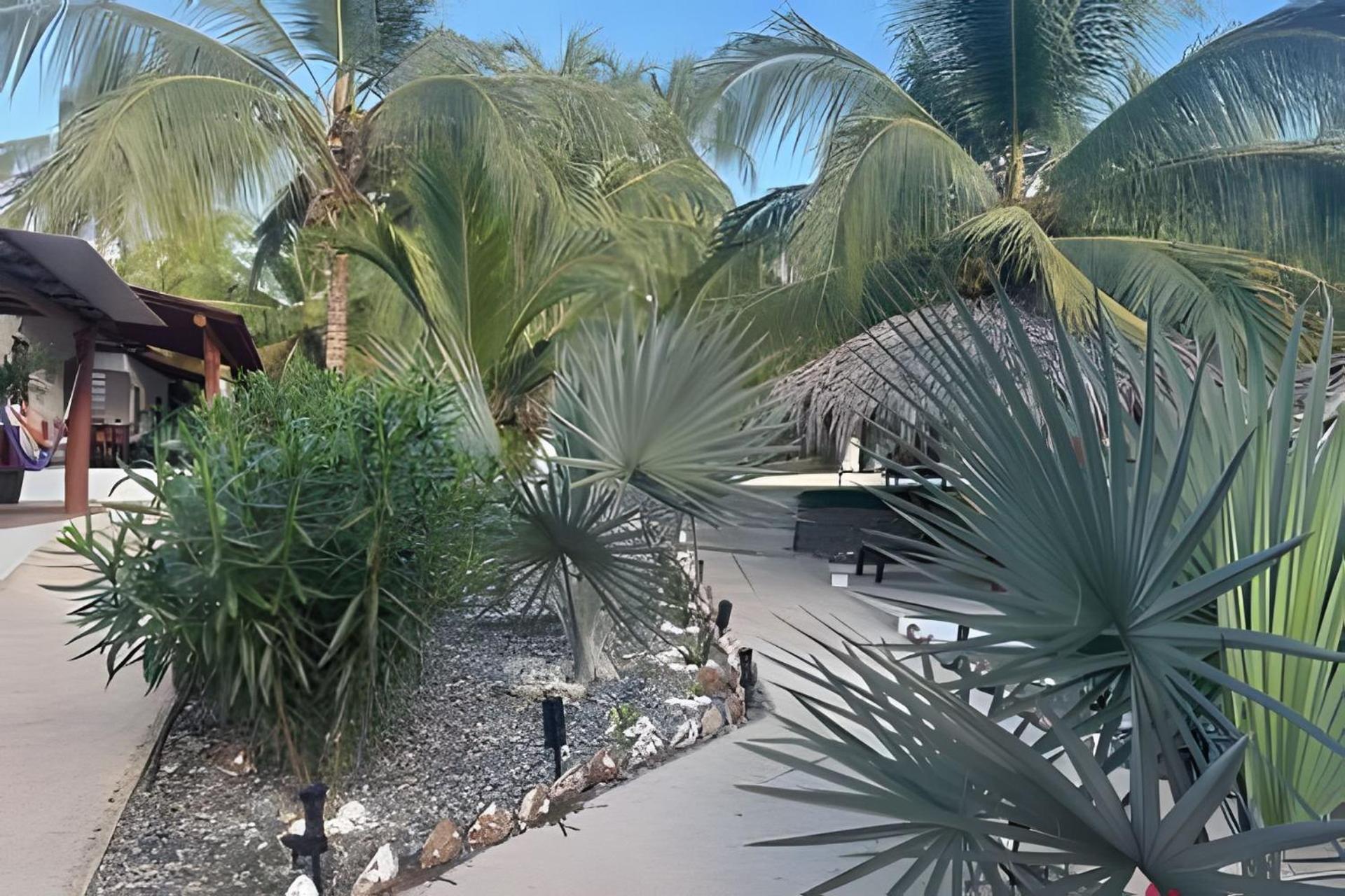 Casa Las Palmas Playa La Saladita Zihuatanejo Exterior photo