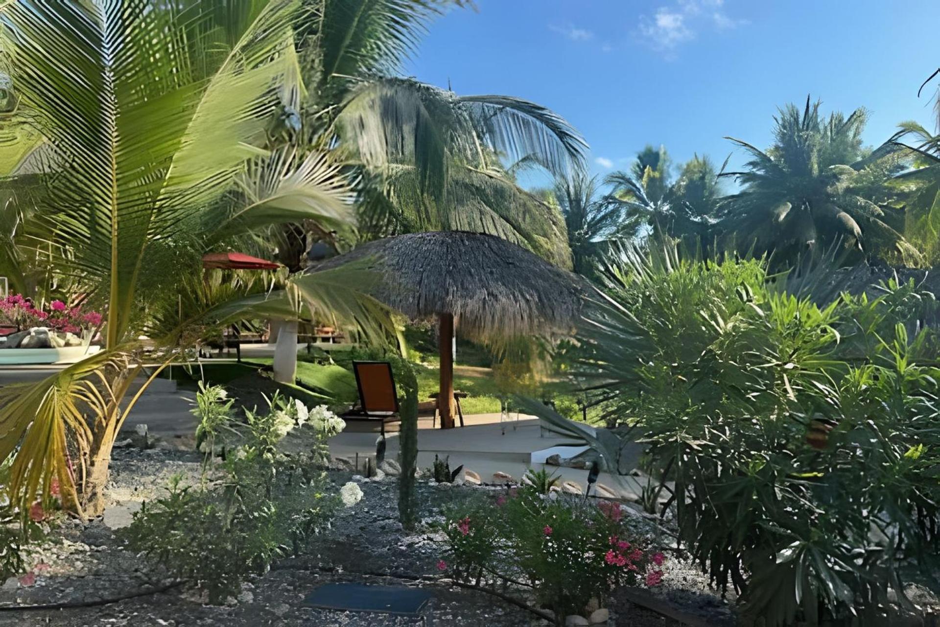 Casa Las Palmas Playa La Saladita Zihuatanejo Exterior photo