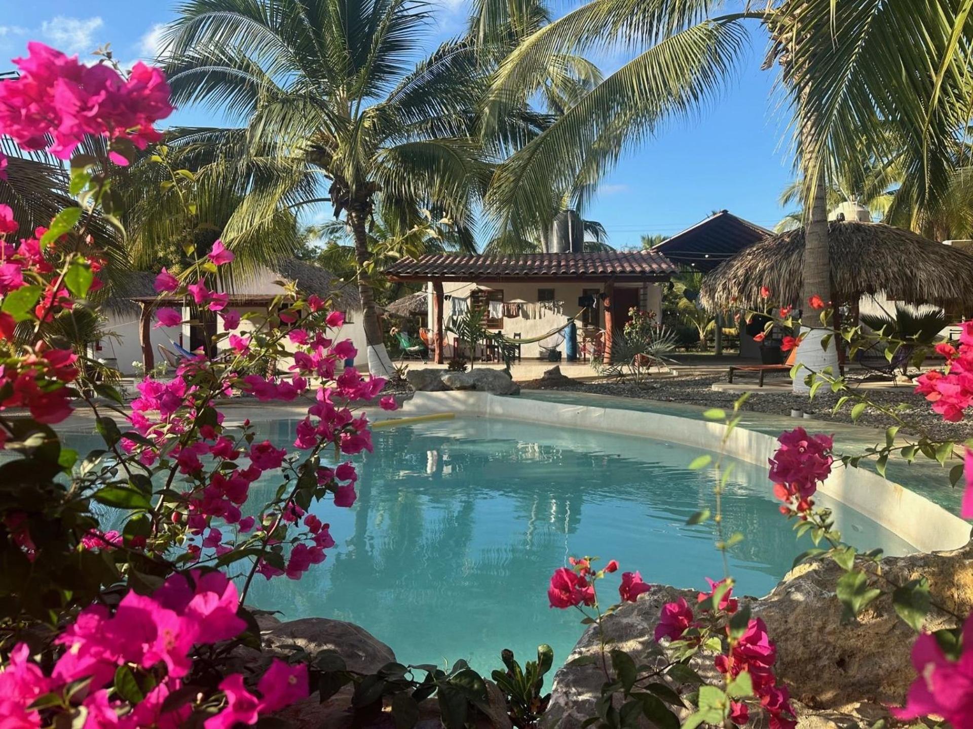 Casa Las Palmas Playa La Saladita Zihuatanejo Exterior photo